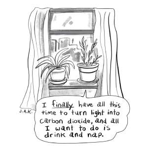 drink and nap cartoon